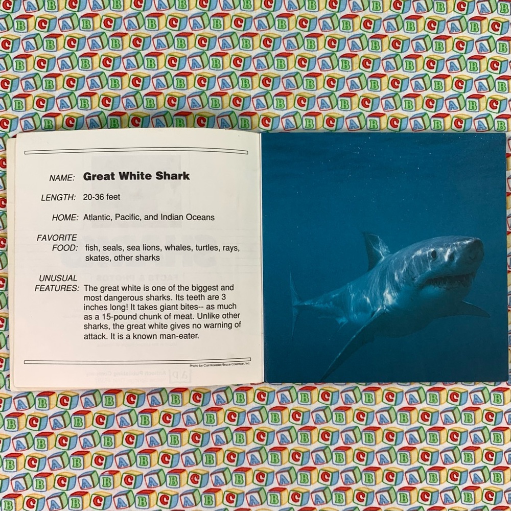 Sharks Learning Book Set for Kids. - Picture 6 of 16